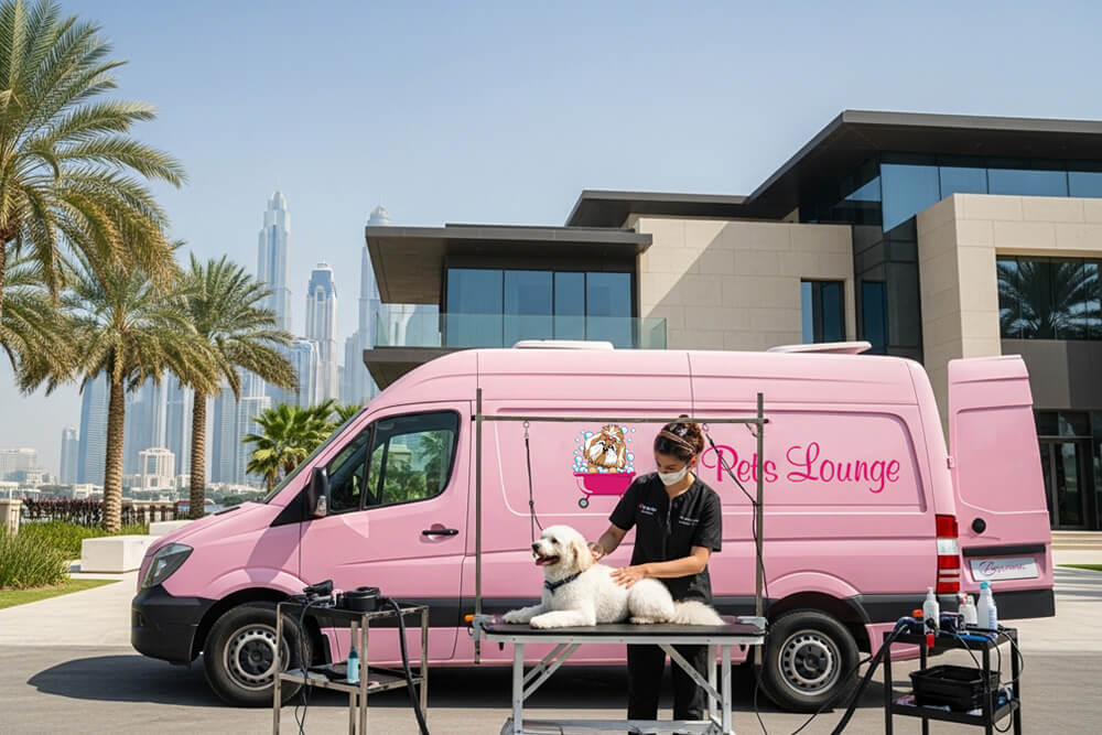 Mobile Pet Grooming in Dubai