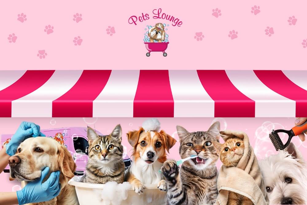 Why Choose Pets Lounge for Pet Grooming in Dubai