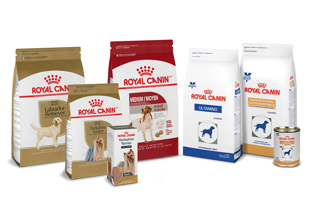royal canin brand