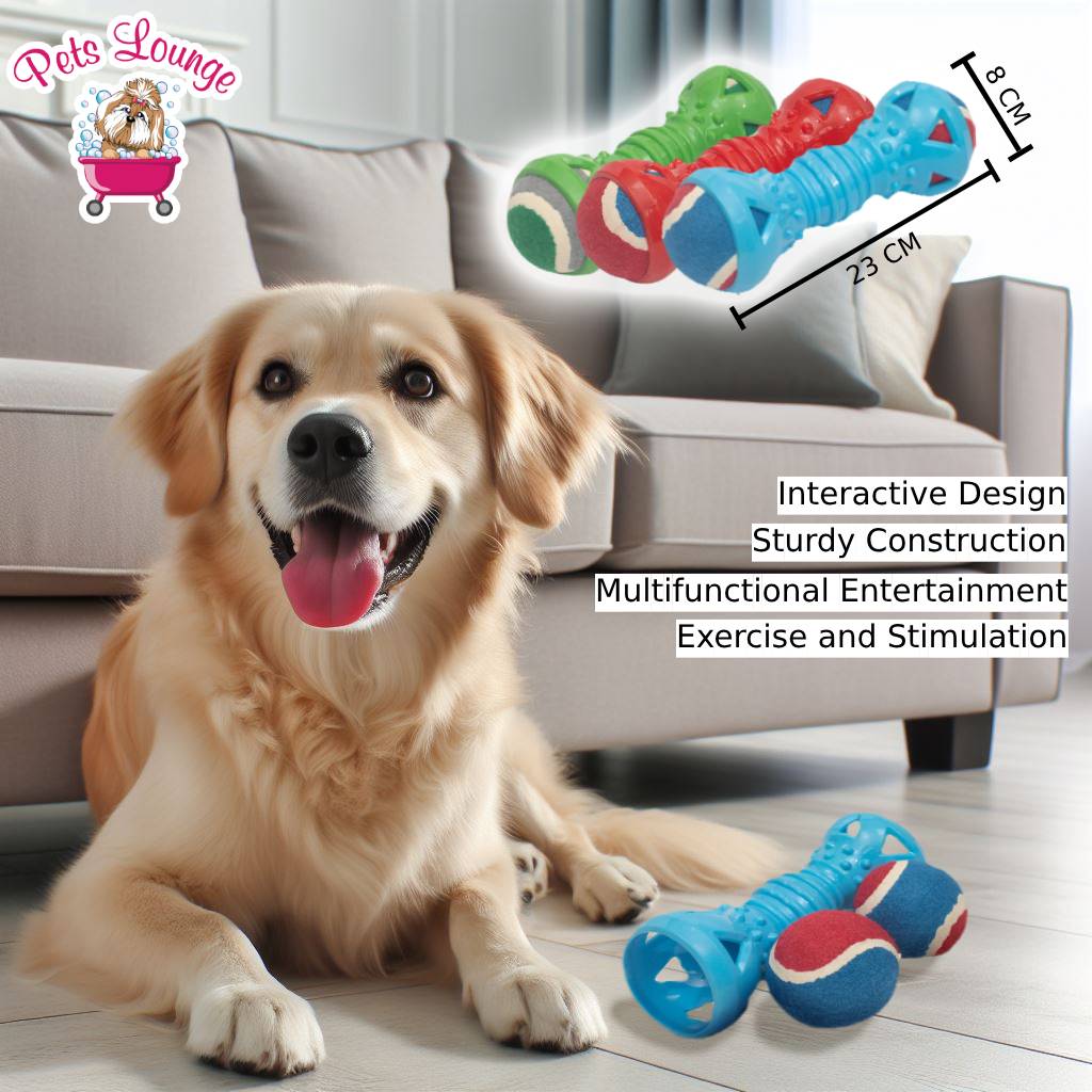 Fetch & Chew Dumbbell: Interactive Fun with Detachable Balls