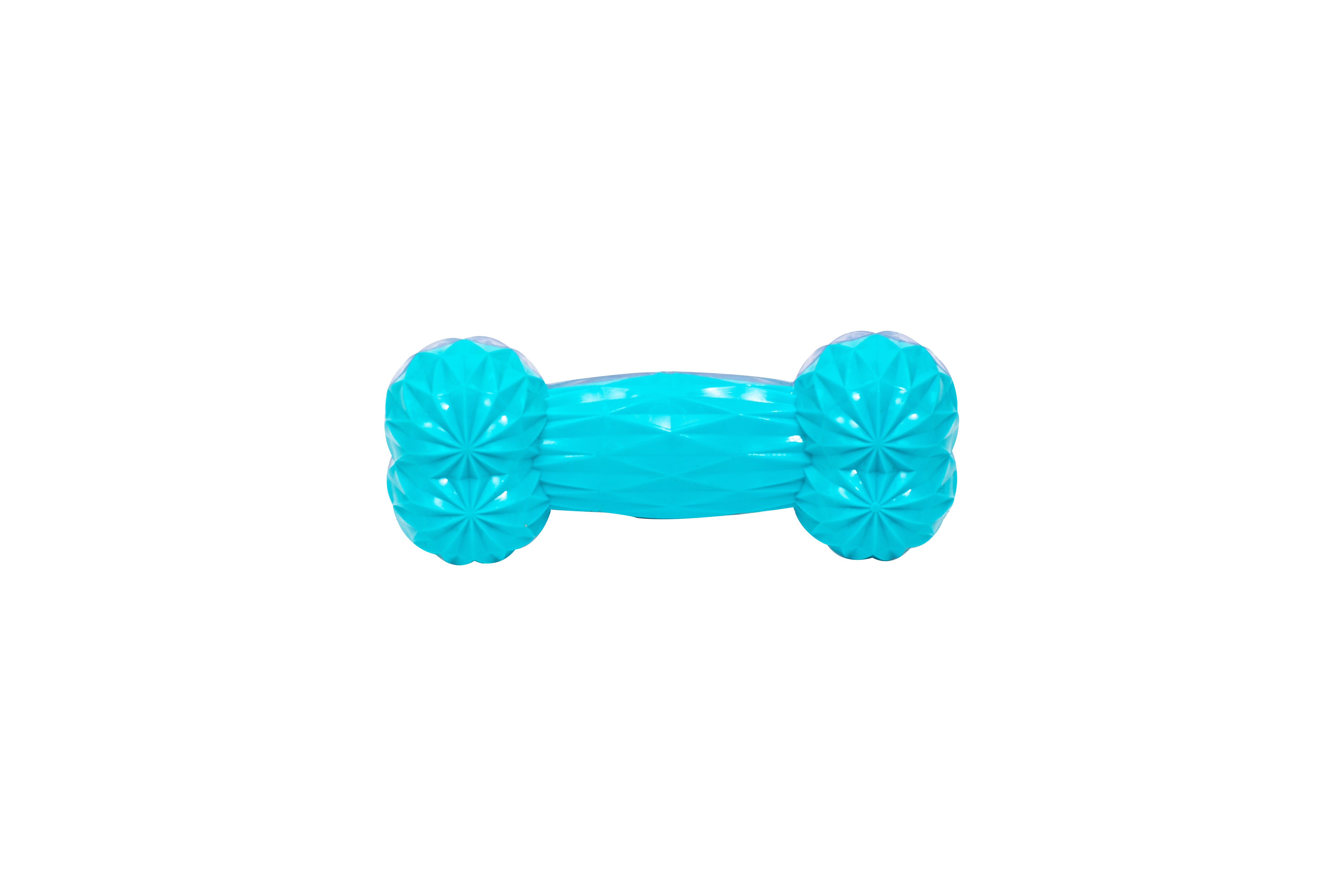 Glow & Squeak Bone: Light Up Playtime for Your Pup