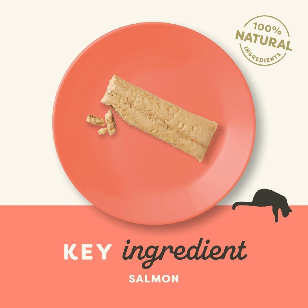 Applaws - Cat Salmon Loin