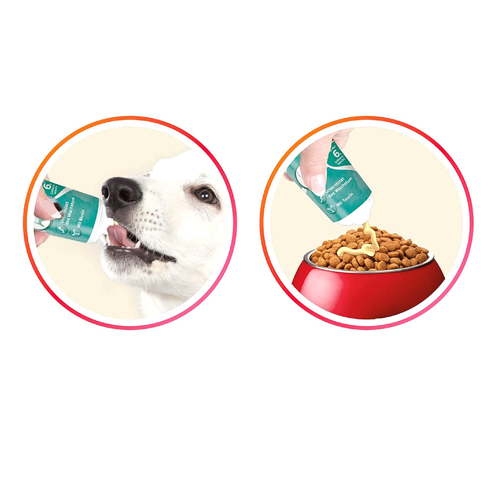 Beaphar - Junior Paste - Dog / 100 G