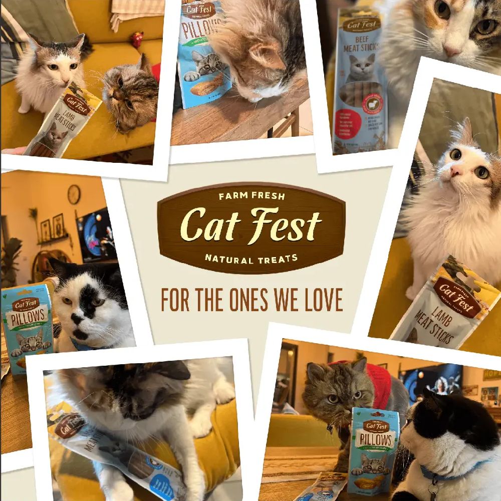 Cat Fest Pillows Cream 30G