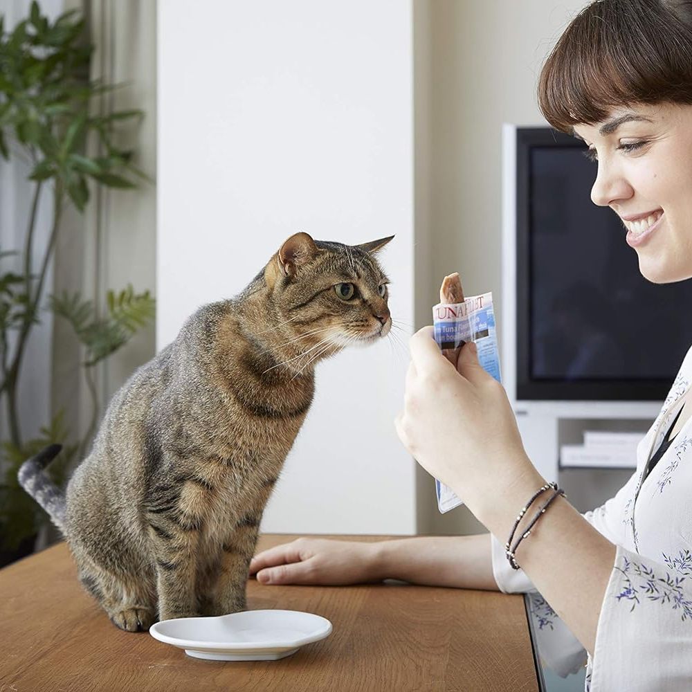 Inaba Grilled Fillet Cat Treats