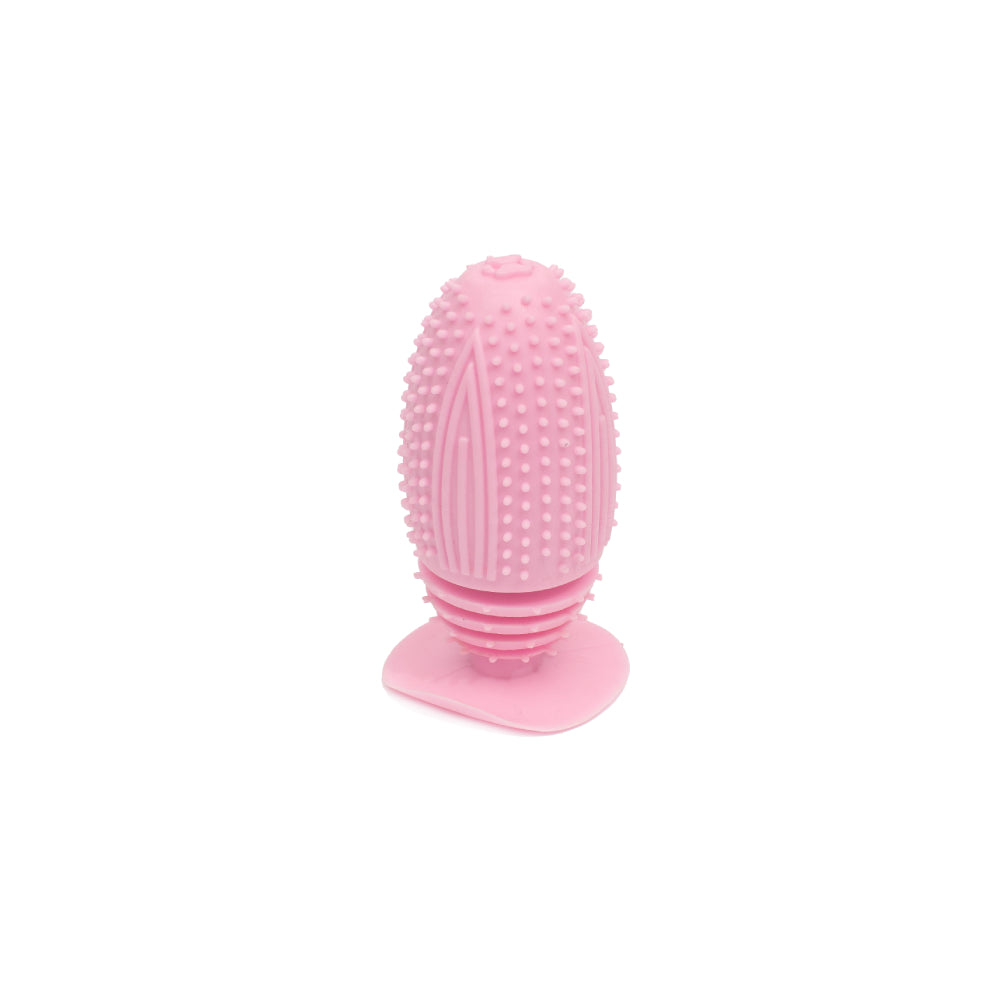 PL - Small Spiky Suction Chew Toy