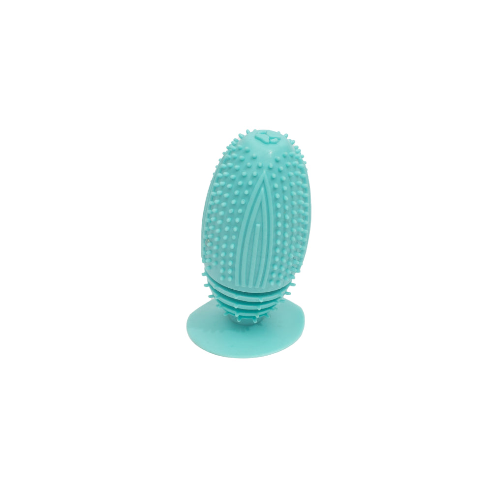 PL - Small Spiky Suction Chew Toy