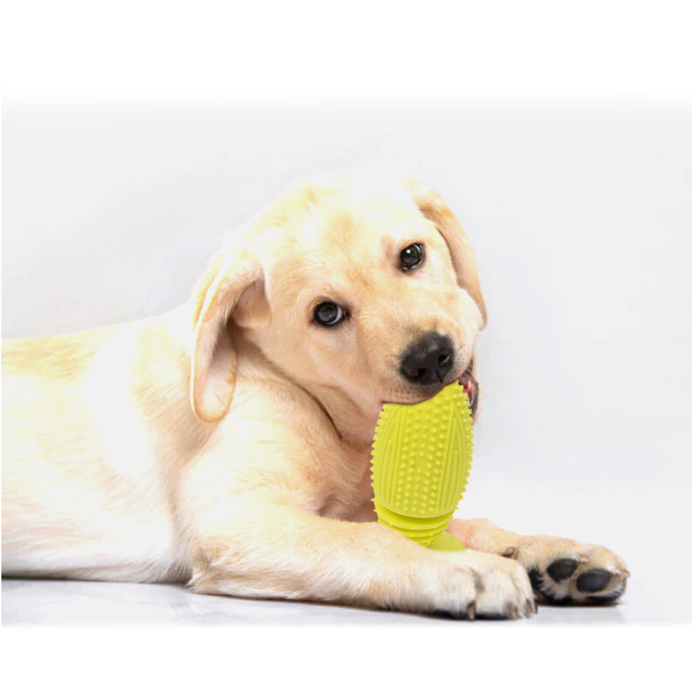 PL - Small Spiky Suction Chew Toy