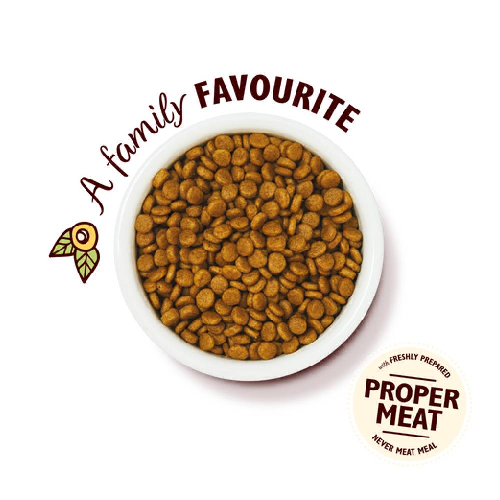 Lily'S Kitchen Curious Kitten Complete Dry Food (800G)