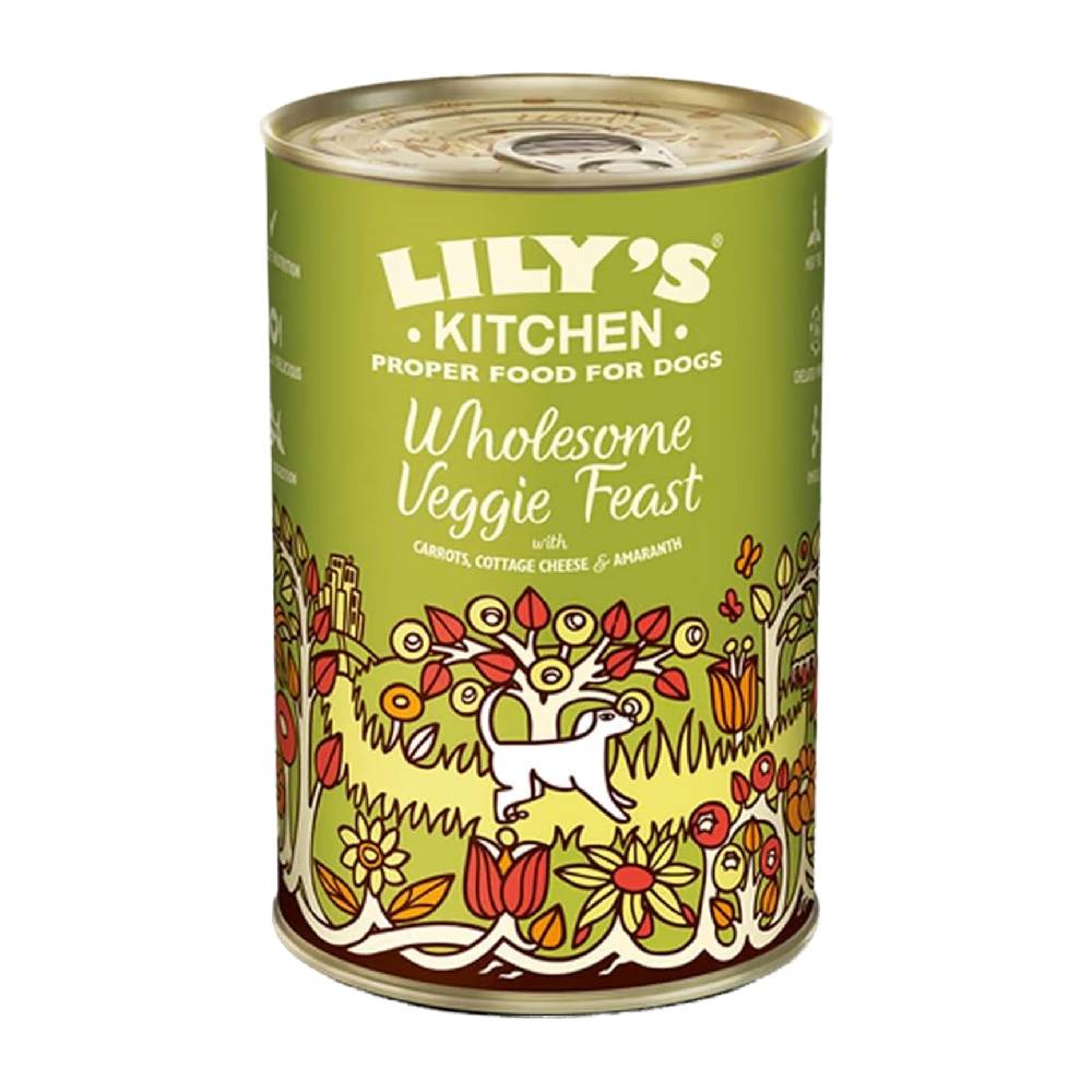 Lilys Kitchen - Wholesome Veggie Feast Wet Dog Food (375G)