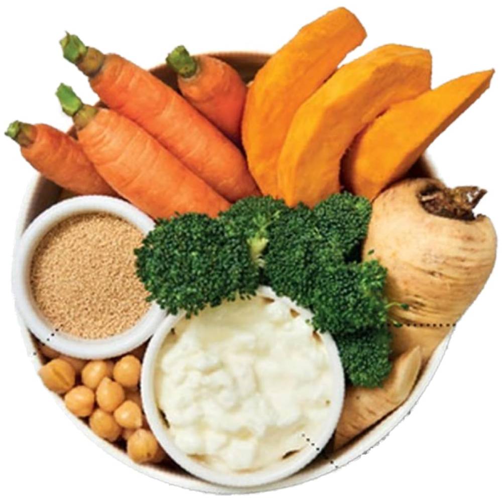 Lilys Kitchen - Wholesome Veggie Feast Wet Dog Food (375G)