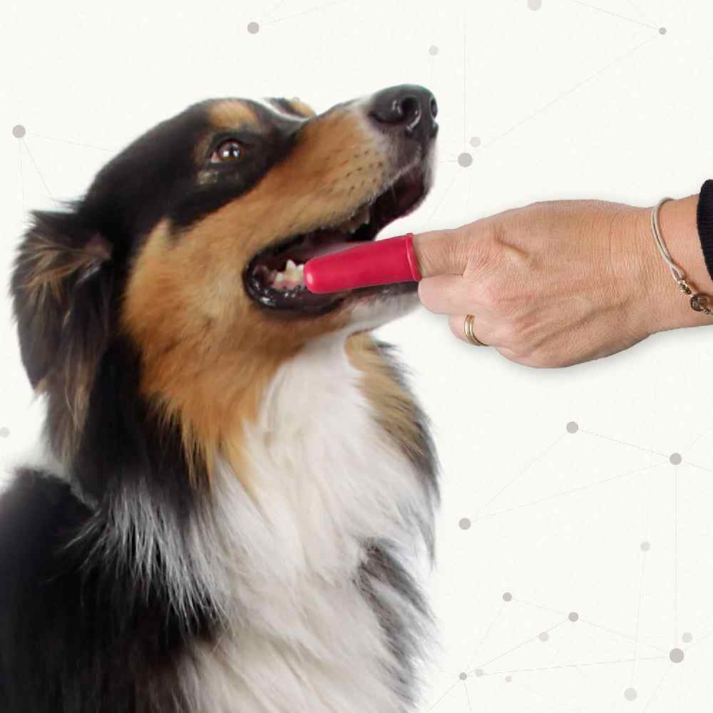 Beaphar - Finger Toothbrush 2 Pcs