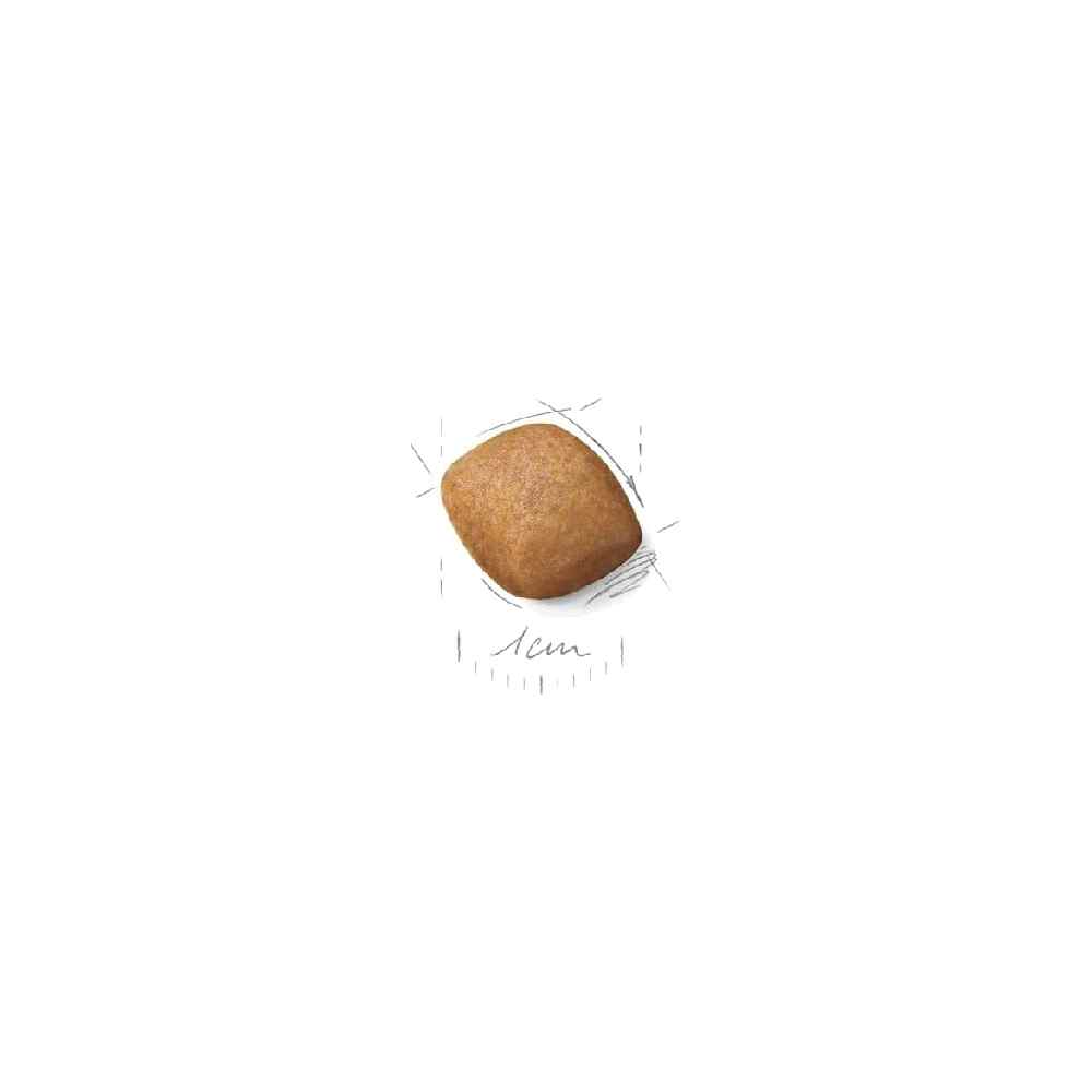 Royal Canin - Pomeranian Adult 1.5 KG