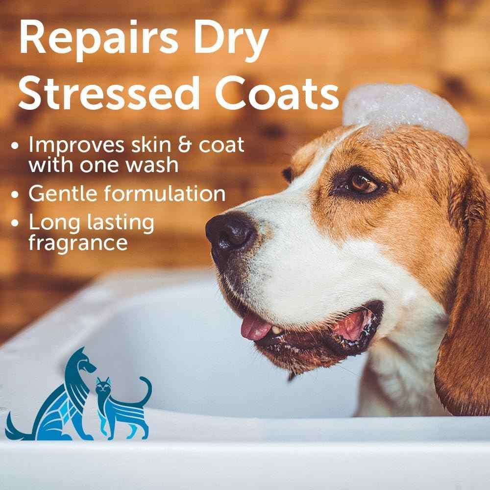 Nootie Refreshing Shampoo - Sweet Pea Vanilla 16Oz