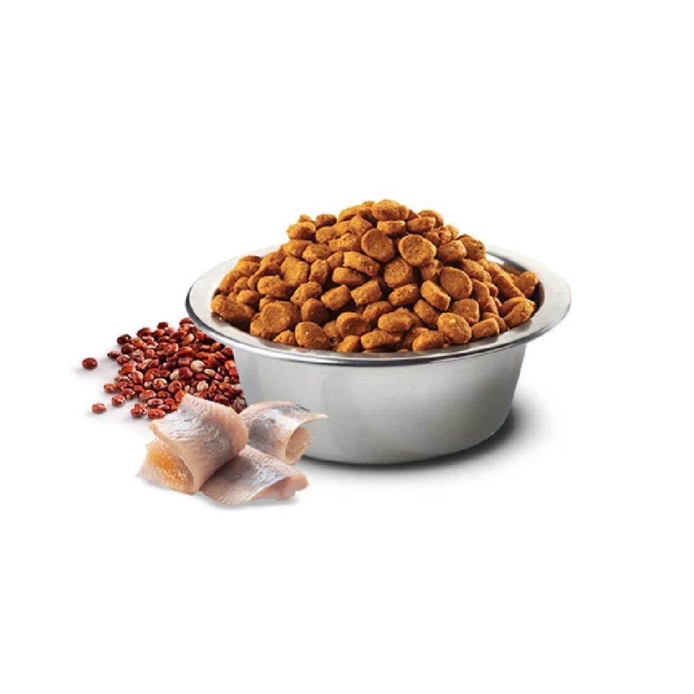 Farmina - N&D Quinoa Skin & Coat Herring Dry Cat Food - 1.5 Kg