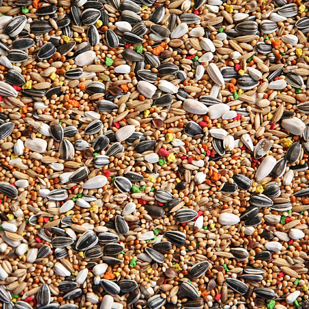 Farma Friends - Parakeet Special Mix - 1 KG