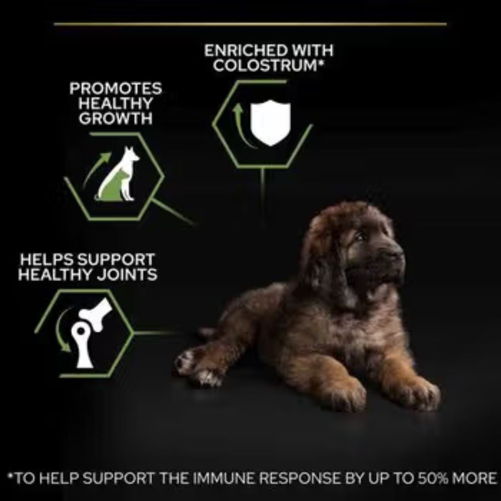 Pro Plan - Large Robust Puppy - Chicken (12 KG)