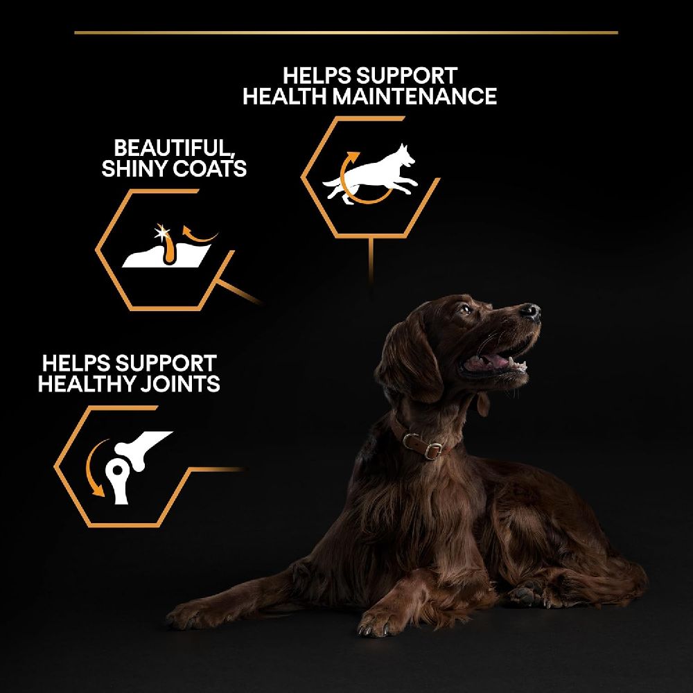 Pro Plan - Large Athletic Adult Dog - Chicken (14 KG)