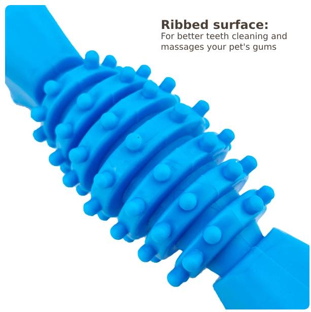 PL - Ribbed Bone Chew Toy