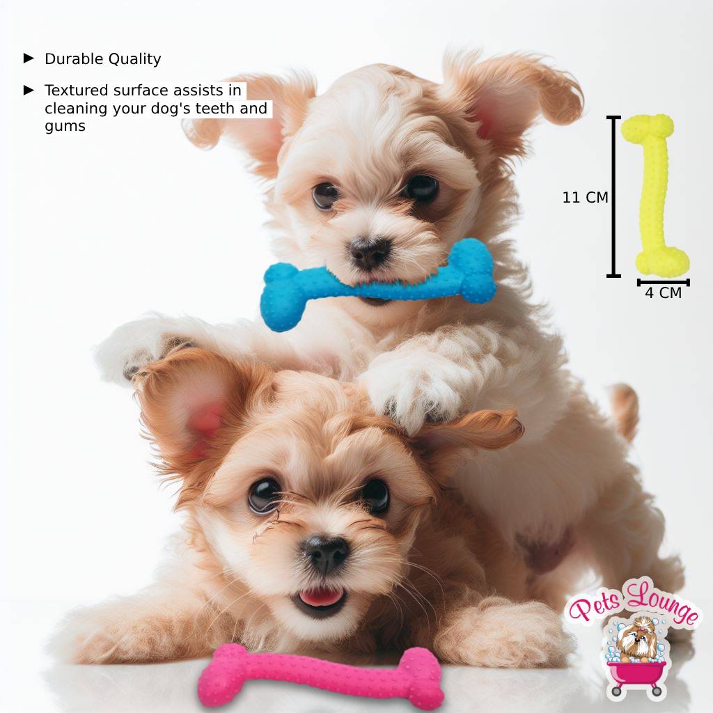 Small Textured Bone Dog Chew Toy | Durable & Fun Chewing for Small Dogs