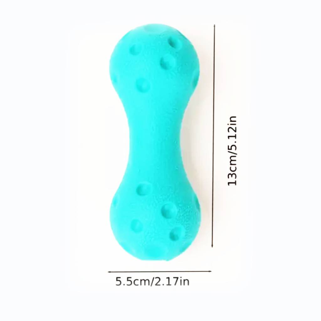 PL - Squeaky Dumbbell Toy - Small