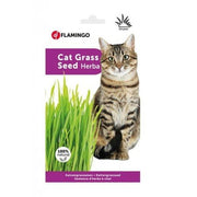Flamingo Cat Grass