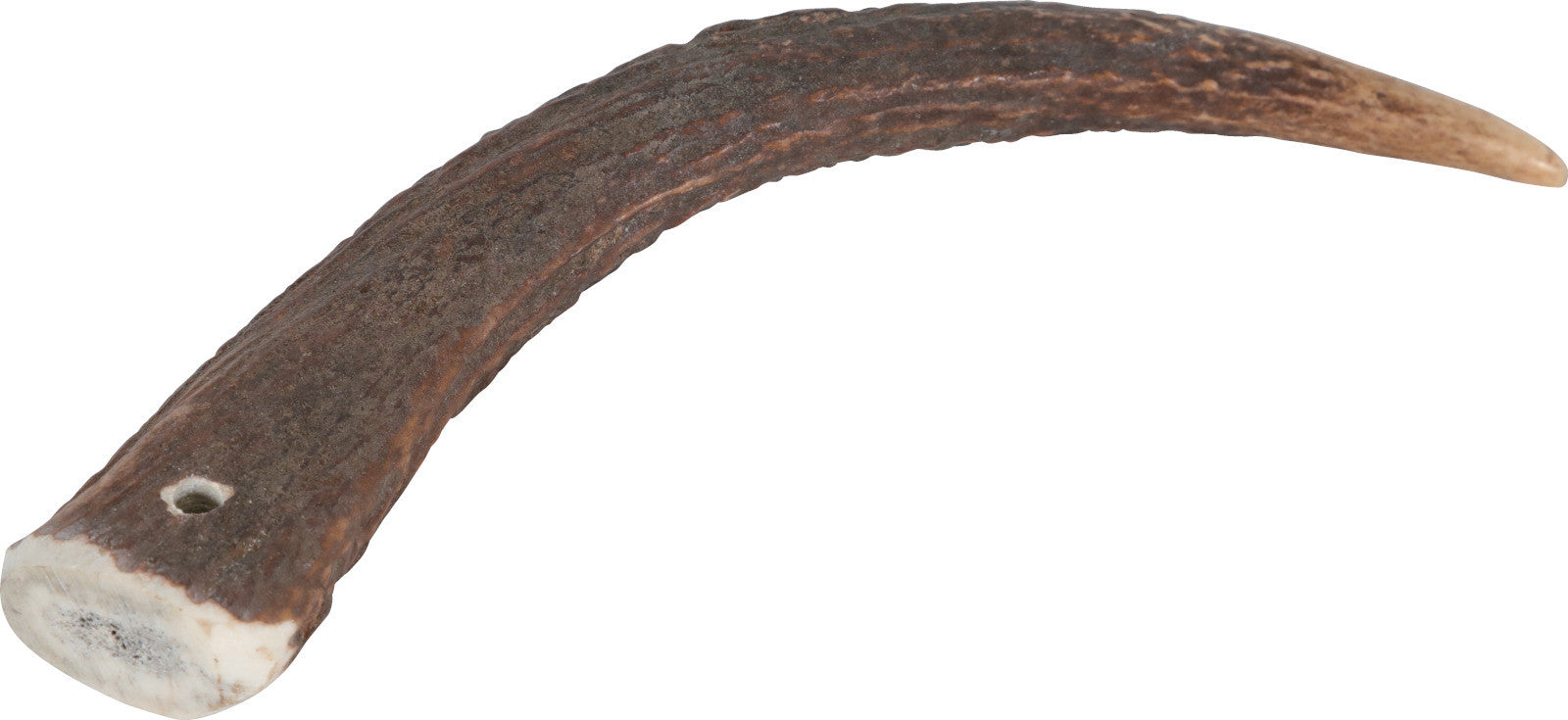 Zolux - Natural Deer Antler Hard For Dogs Under 15Kg