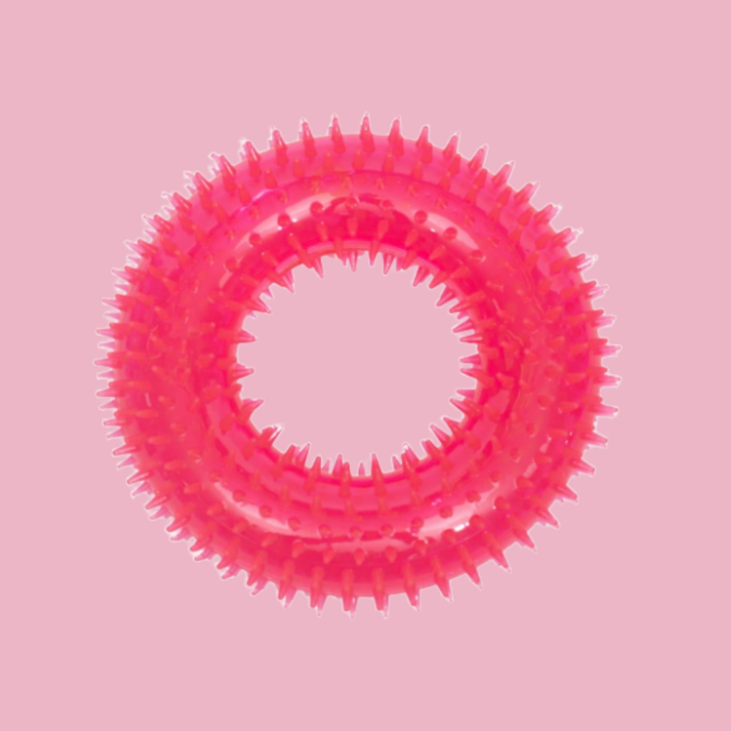 PL - Durable Dog Squeaky Donut-shape Toy