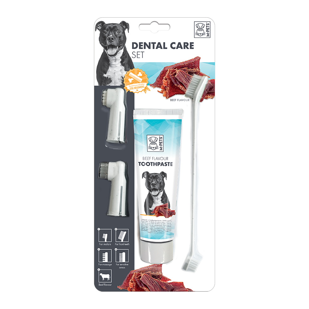M-PETS Dental Care Set Beef Flavor Toothpaste Kit