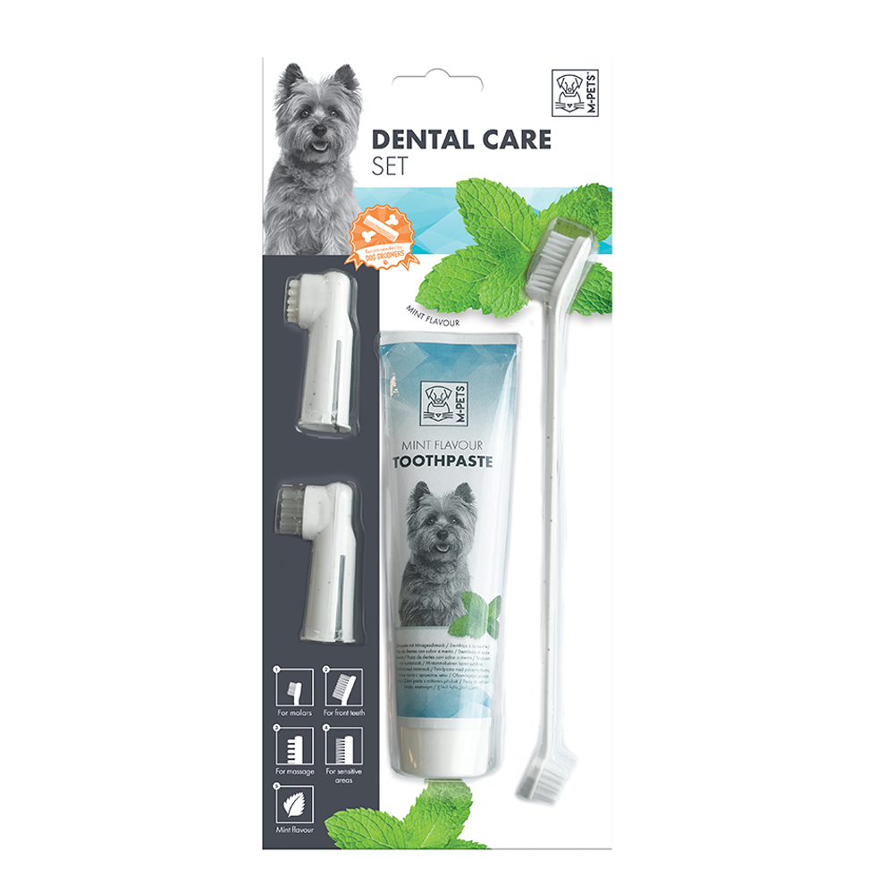 M-PETS Dental Care Set Mint Flavor Toothpaste Kit