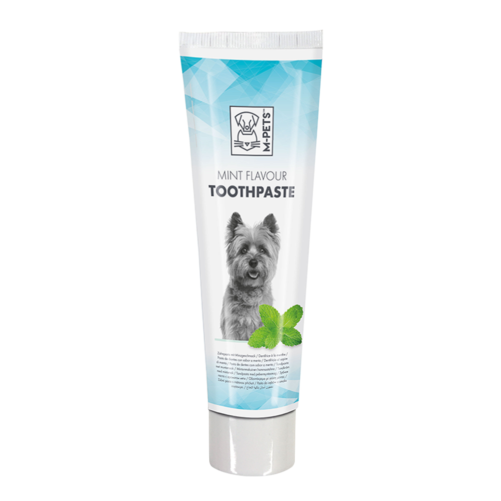 M-PETS Mint Flavor Toothpaste 100g