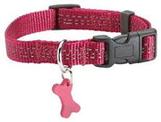 SAFE COLLAR - FUCHSIA / L - Dog Leashes