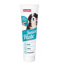 JUNIOR PASTE - DOG / 100 G