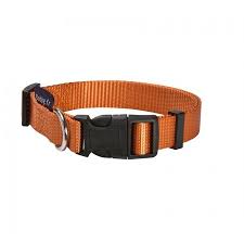 Dog Leashes: ACCESS COLLAR - ORANGE / SMALL