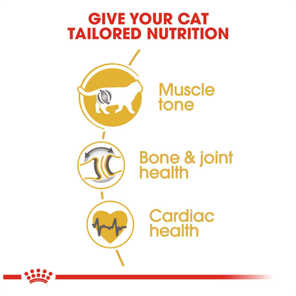 royal_canin_british_shorthair_adult_dry_cat_food