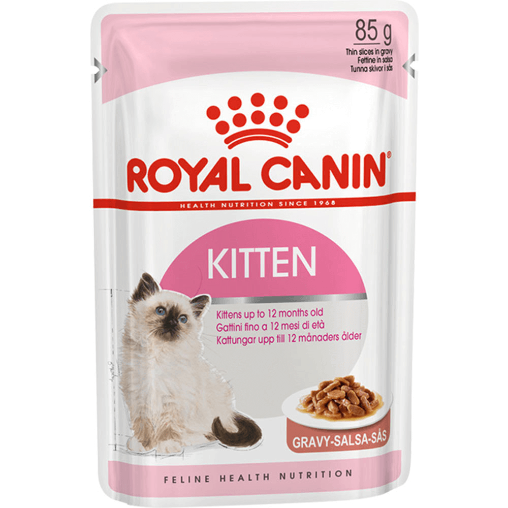 Instinctive bite dog store food