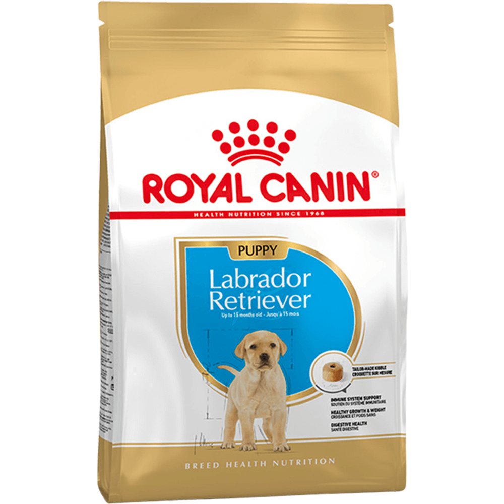 Online labrador dog shopping cheap