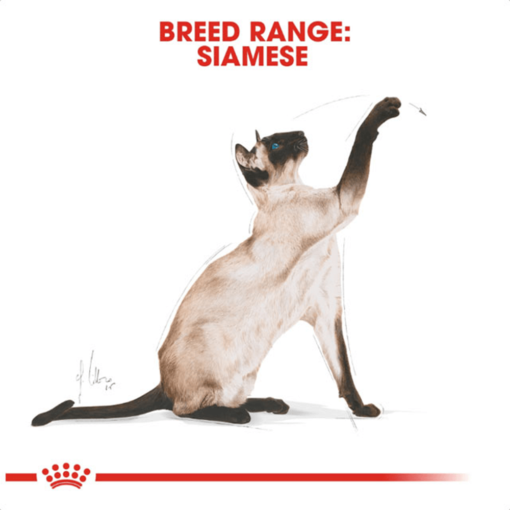 royal_canin_siamese_adult_dry_cat_food