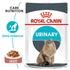 royal_canin_urinary_care_wet_cat_food