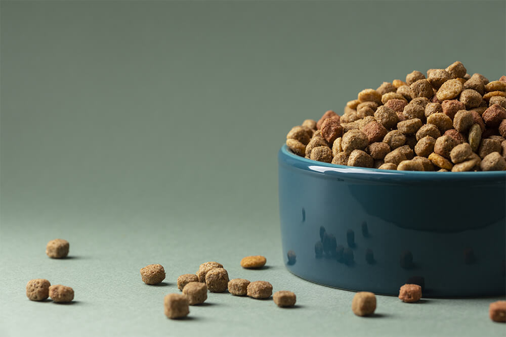 Homemade Pet Food