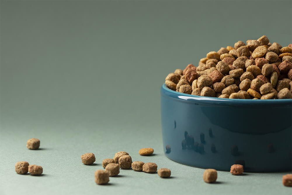 The Pros and Cons of Homemade Pet Food