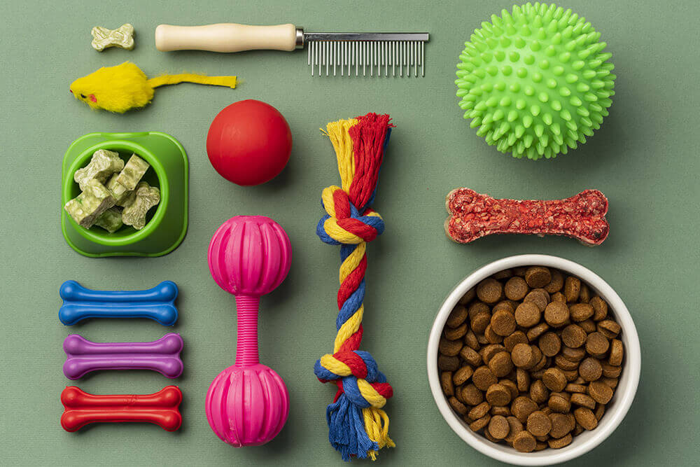 Top Must-Have Pet Supplies for Dogs & Cats