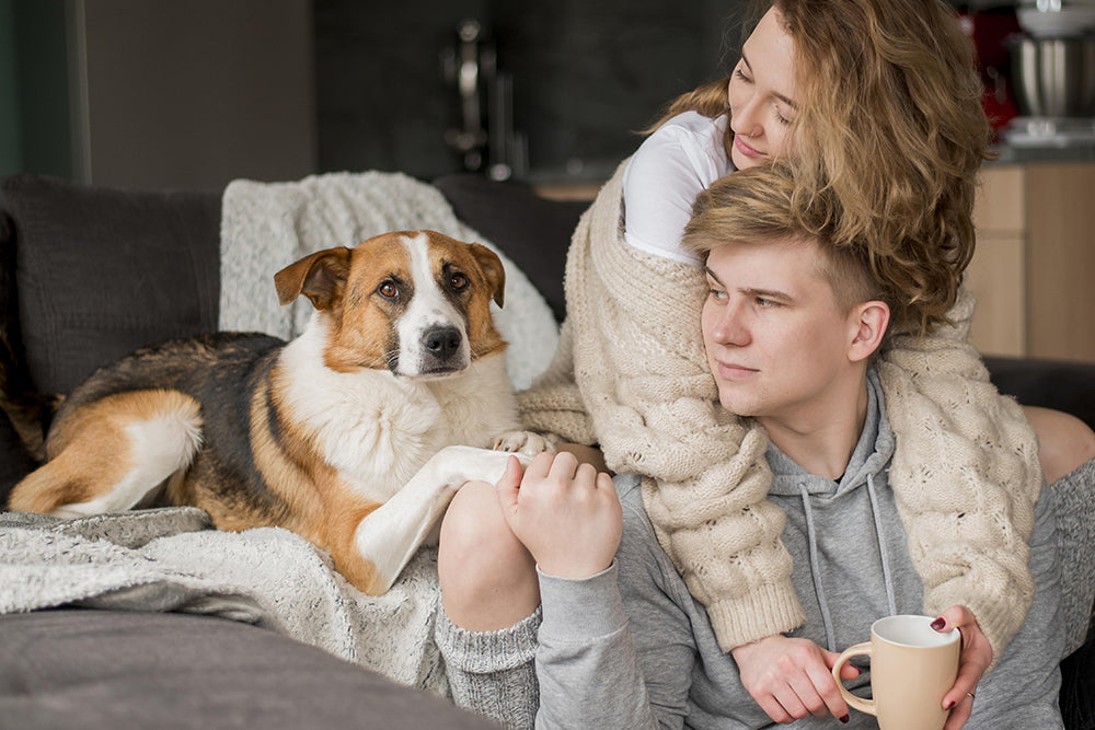 Pros and Cons of Adopting a Pet