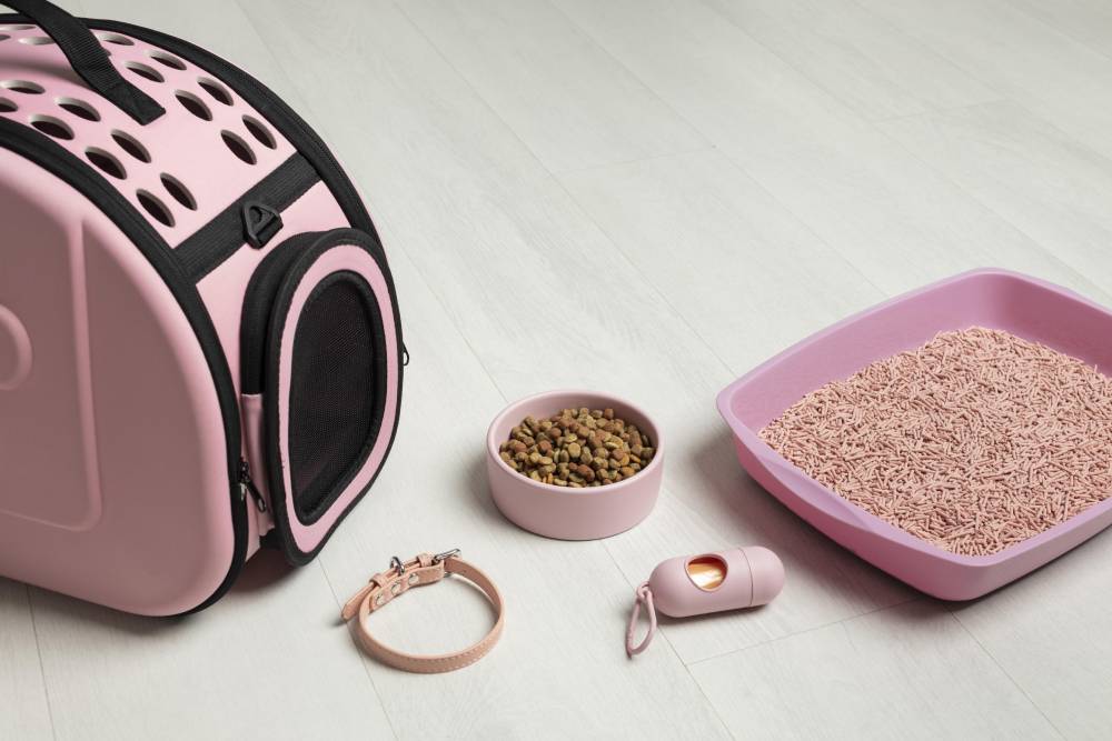 Top 10 Essential Pet Products in High Demand Right Now