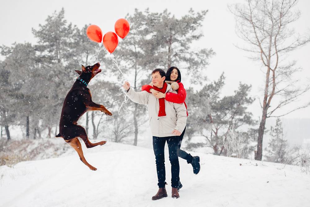 Pet enjoying a fun Valentine's Day celebration with family