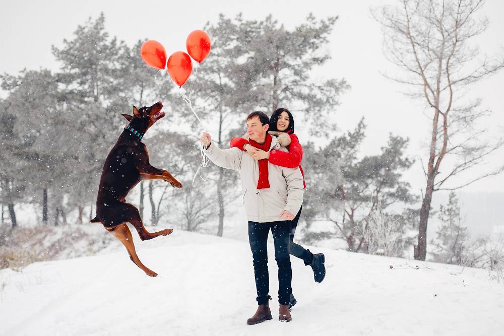 How to Celebrate Valentine's Day with Your Pet?