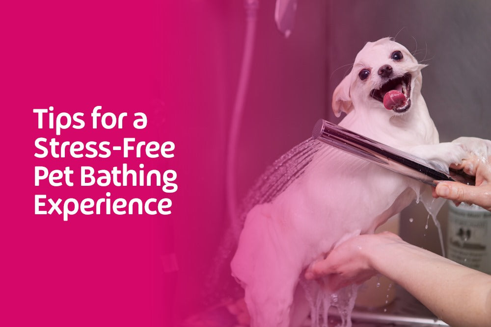 Tips for a Stress-Free Pet Bathing Experience