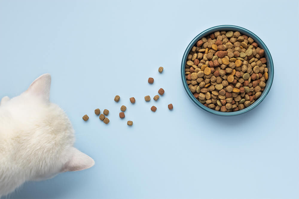 Cat food