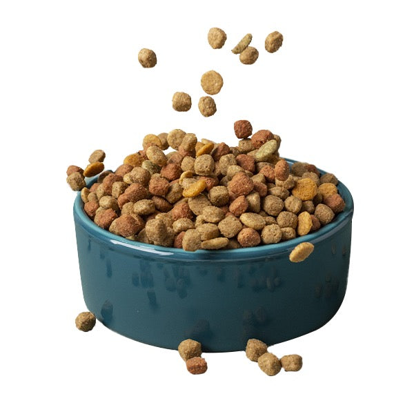 Dog Dry Food