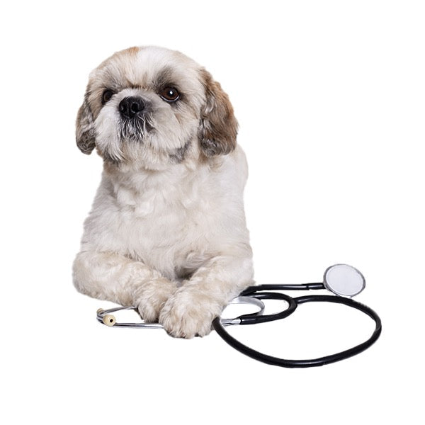 Dog Healthcare Products